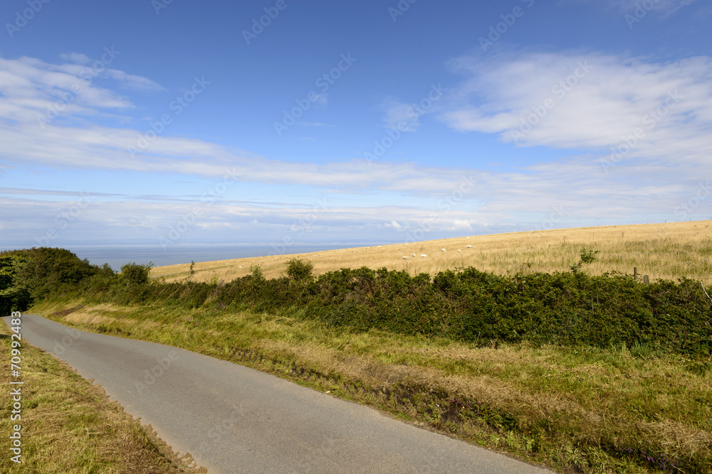 road and sea in the moor, Exmoor