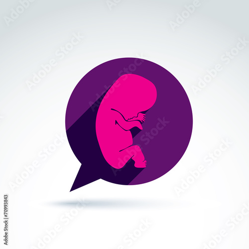 Illustration of a baby embr...