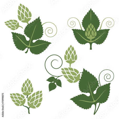 hop design elements