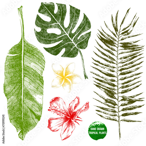 hand drawn tropical leaves and flowers
