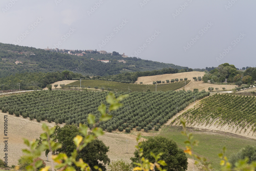 Fototapeta premium hilly landscape