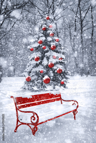 Winter Christmas background. Scene with red element. Concept gra