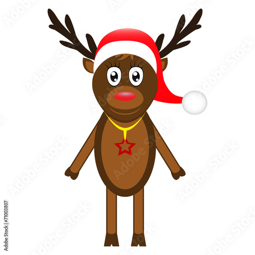 reindeer on a white background