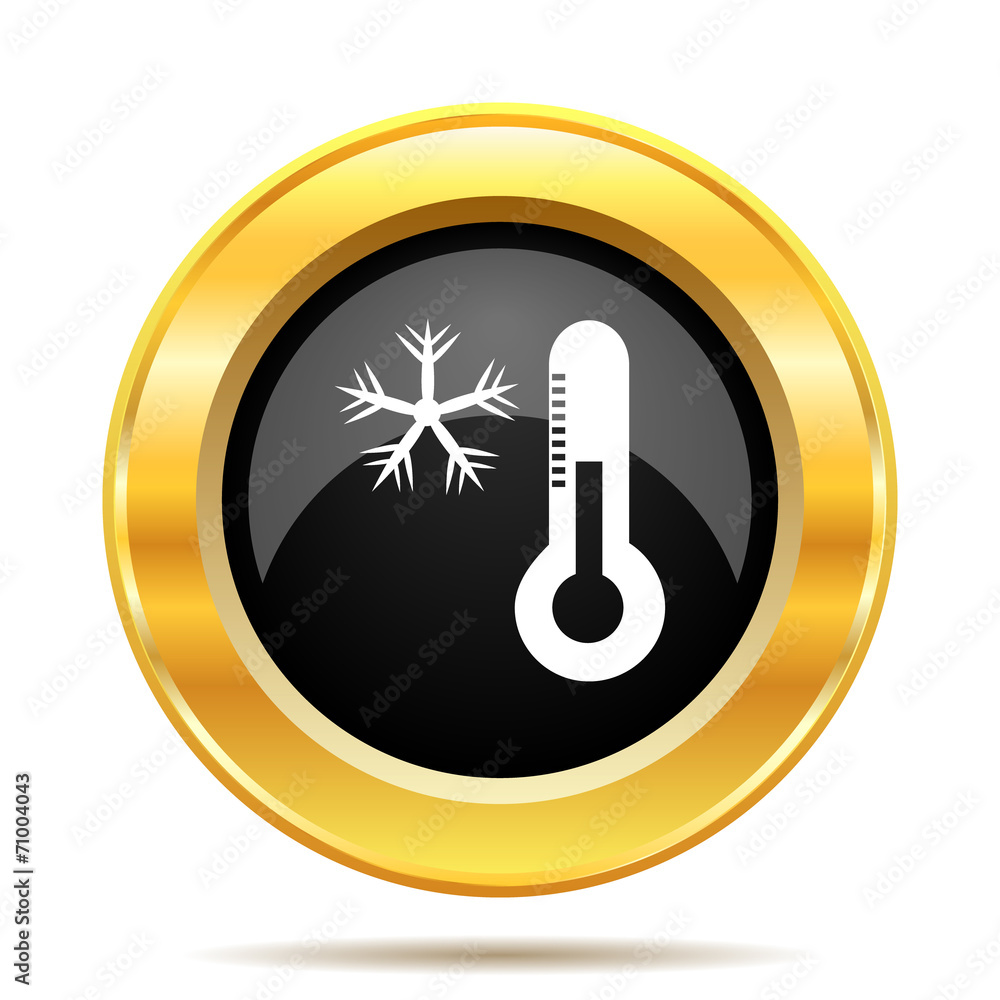 Snowflake with thermometer icon Snowflake with thermometer icon