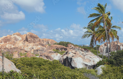 On tropical island. Virgin-Gorda, Tortola