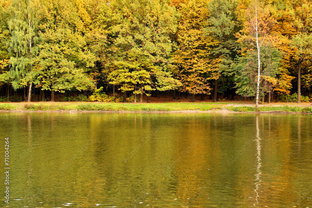 Autumn landscape on lake. Park in the fall. Golden autumn. Autumn landscape on lake. Park in the fall. Golden autumn.