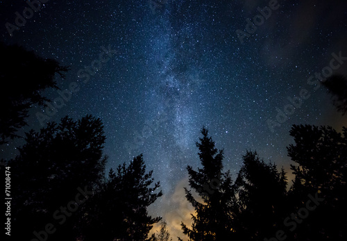 Milky Way over the Forest