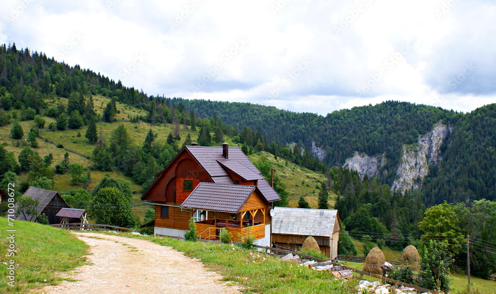 Romanian rural landscape in a village of the Apuseni Mountains