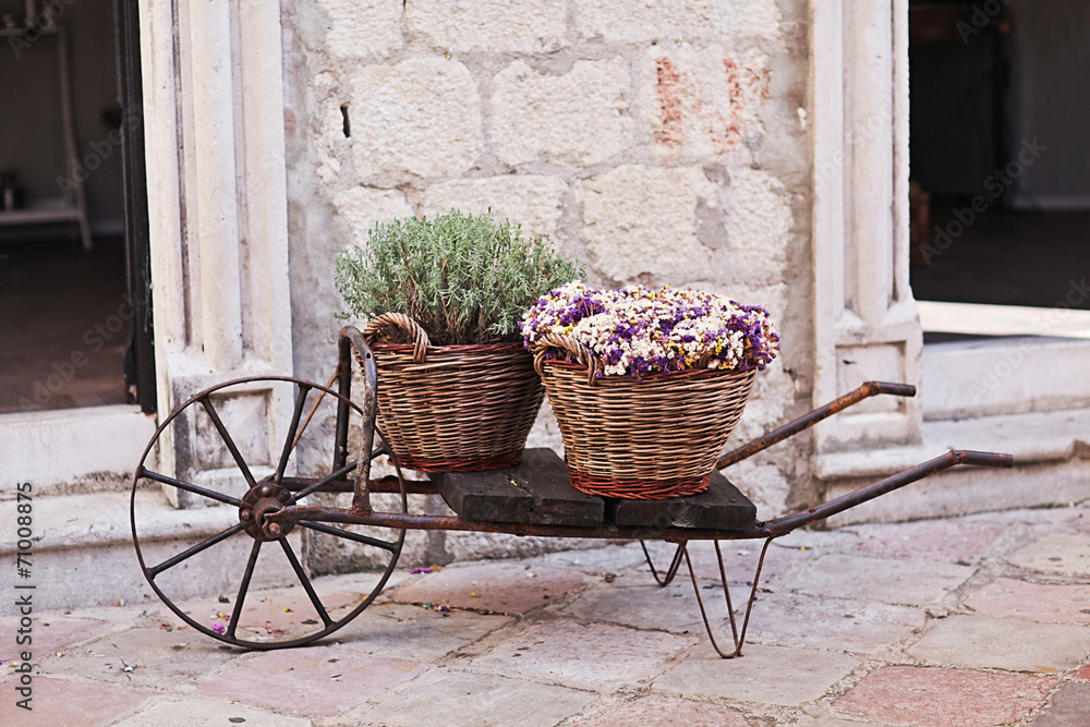 Vintage wagon with basket with lavender flowers near the old wal