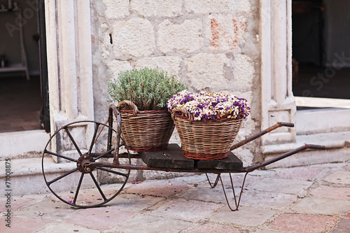 Obraz na płótnie Vintage wagon with basket with lavender flowers near the old wal w salonie