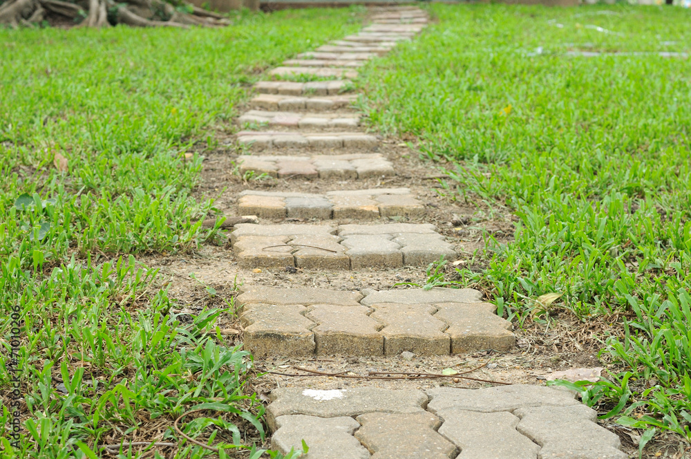 Sidewalks for pedestrians walk in public park Sidewalks for pedestrians walk in public park