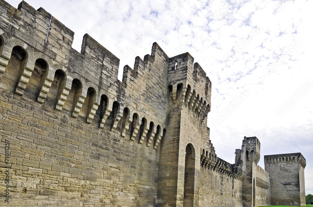 Avignone, le mura della citta'