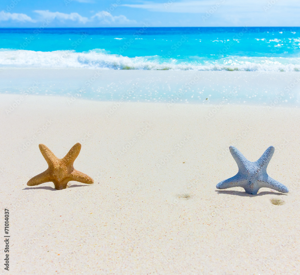 Waves Idea Vacations