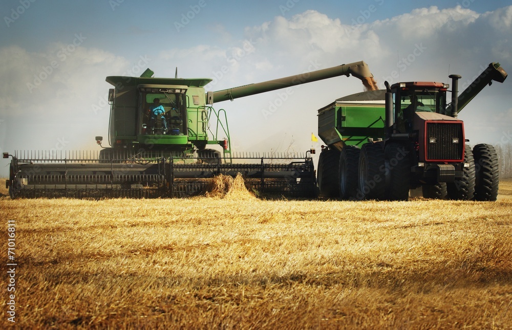 Harvesting Harvesting