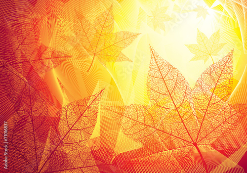 Autumn leaves