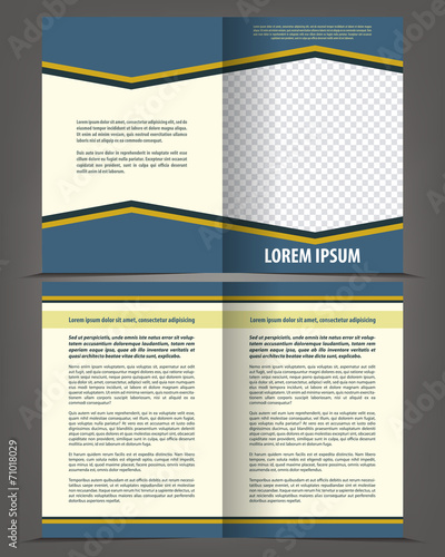 Vector empty bifold brochure print template design