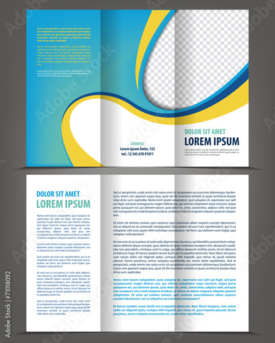 Vector empty trifold brochure print template design