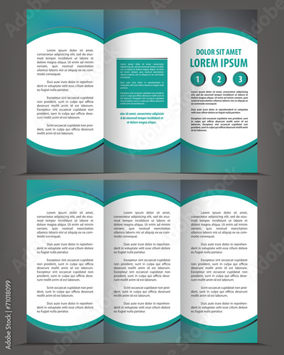 Vector empty trifold brochure design print template