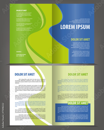 Vector empty bifold brochure print template design