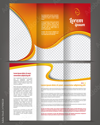 Vector empty trifold brochure template design, menu