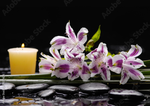 Branch beautiful orchid with candle and therapy stones