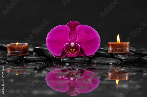 Red orchid with two candle and therapy stones