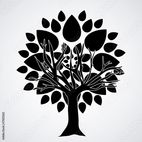 Ecology design