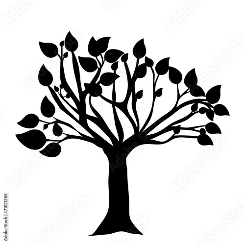 Ecology design
