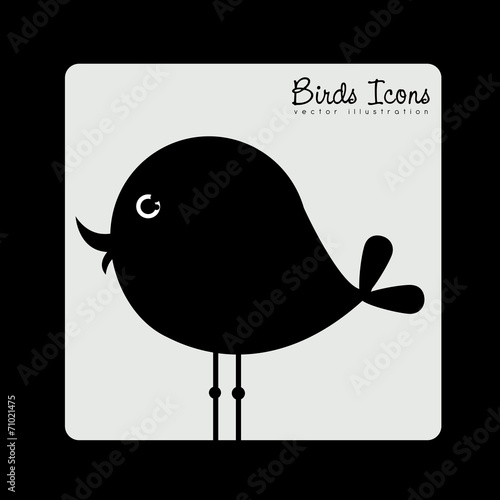 Animal design