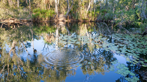 Bitter Springs Mataranka Northern Territory photo