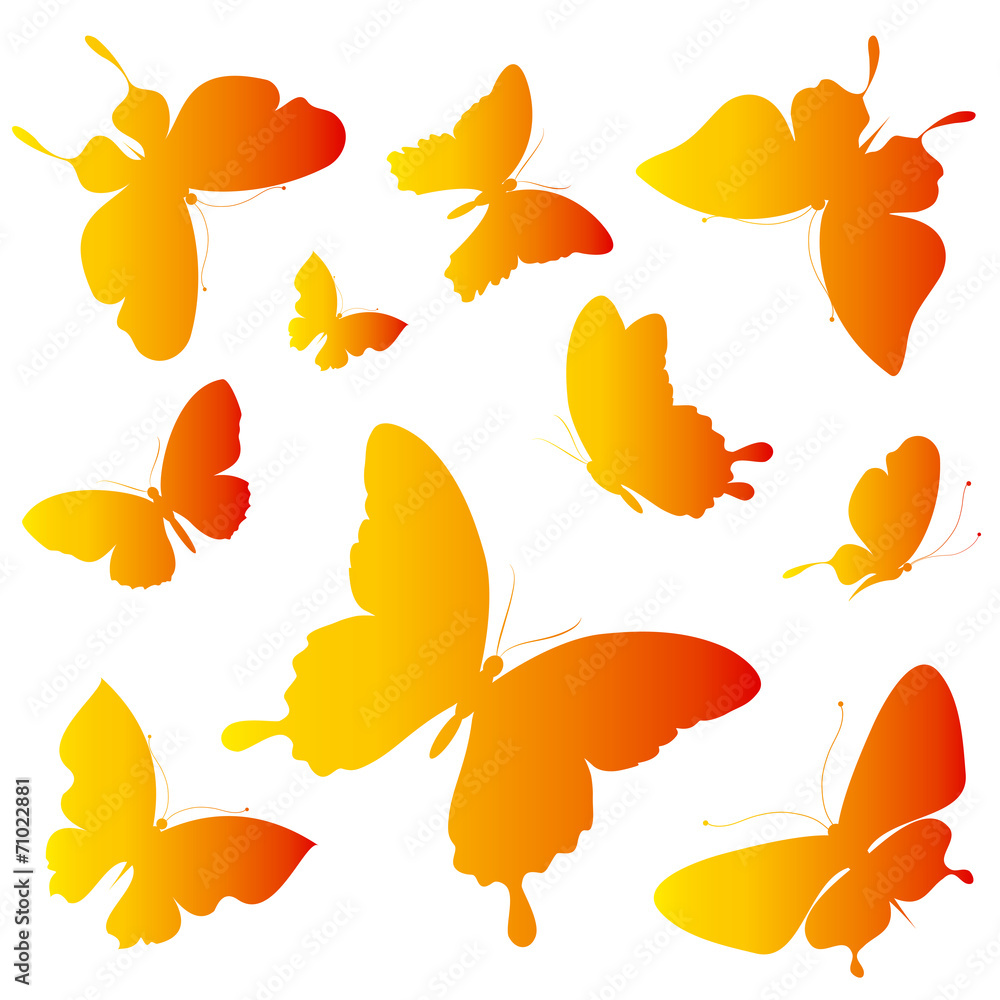 Obraz premium butterflies design