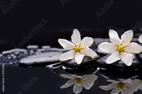 Two gardenia flower on pebbles    reflection background