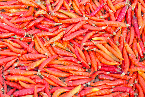 Group of Dried Chili