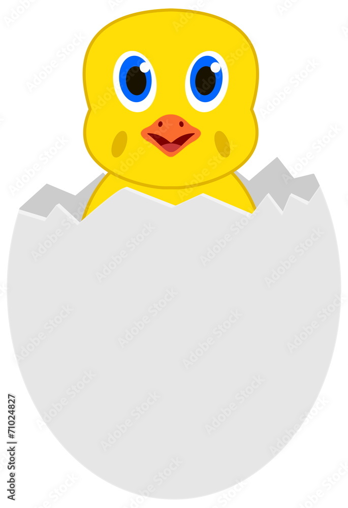 a chick out of the egg a chick out of the egg