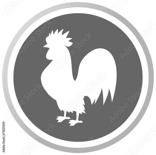 a rooster in a grey Panel