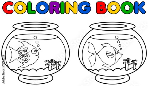 two aquarium with fish coloring