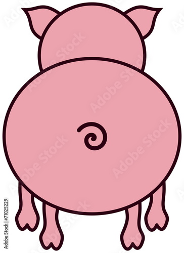 a pig seen from behind