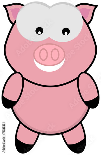 a pig standing and face