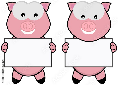 two pig with a placard