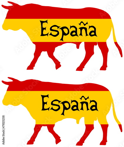 a bull bred in Spain