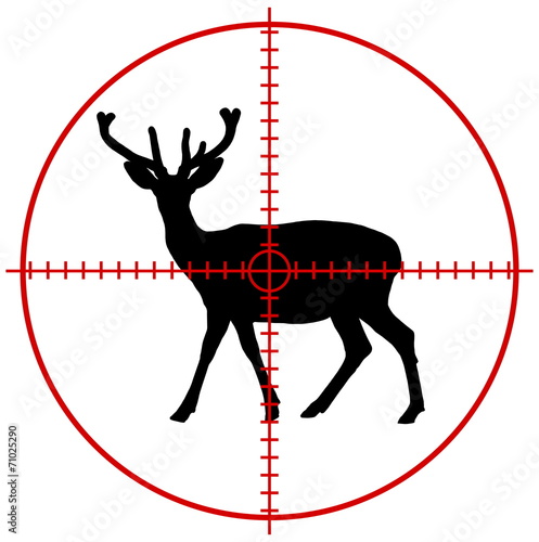 a deer in a target