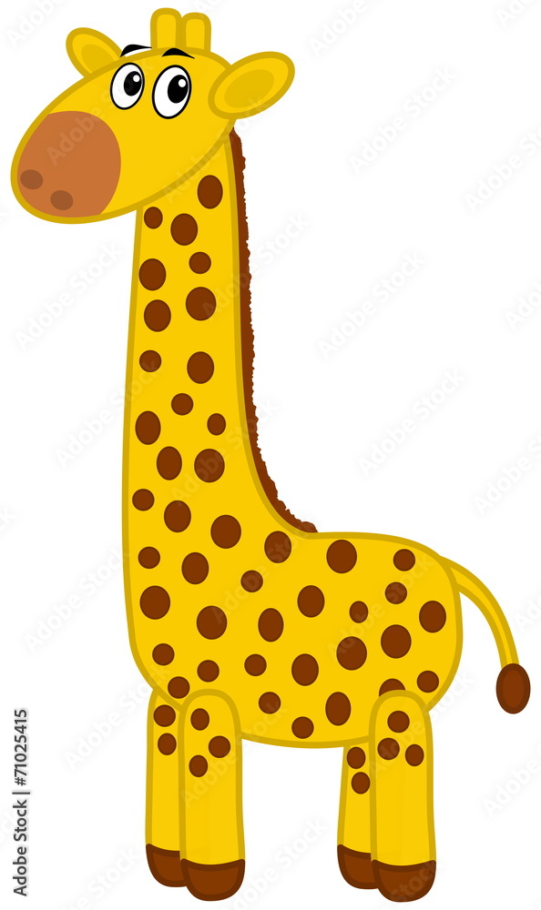 a giraffe profile a giraffe profile