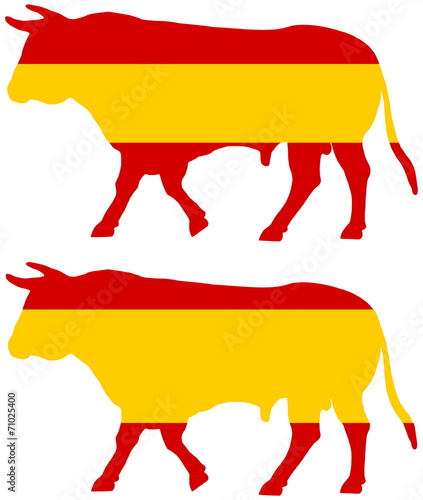 a bull bred in Spain