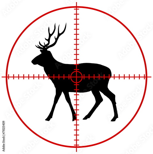 a deer in a target