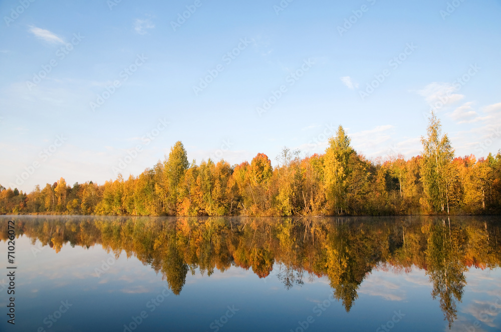 Осенний лес на берегу реки