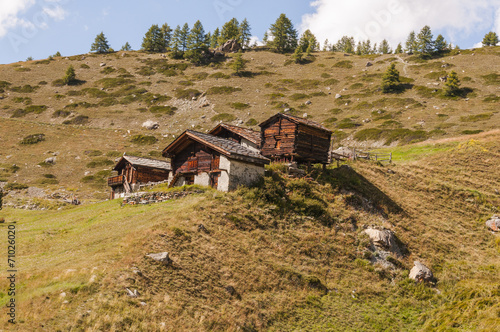 Zermatt, Bergdorf, Weiler, Findeln, Bergwiesen, Alpen, Schweiz photo