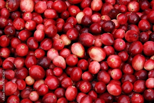 cranberry berries