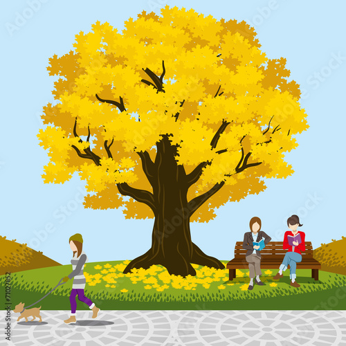 Autumn park big tree
