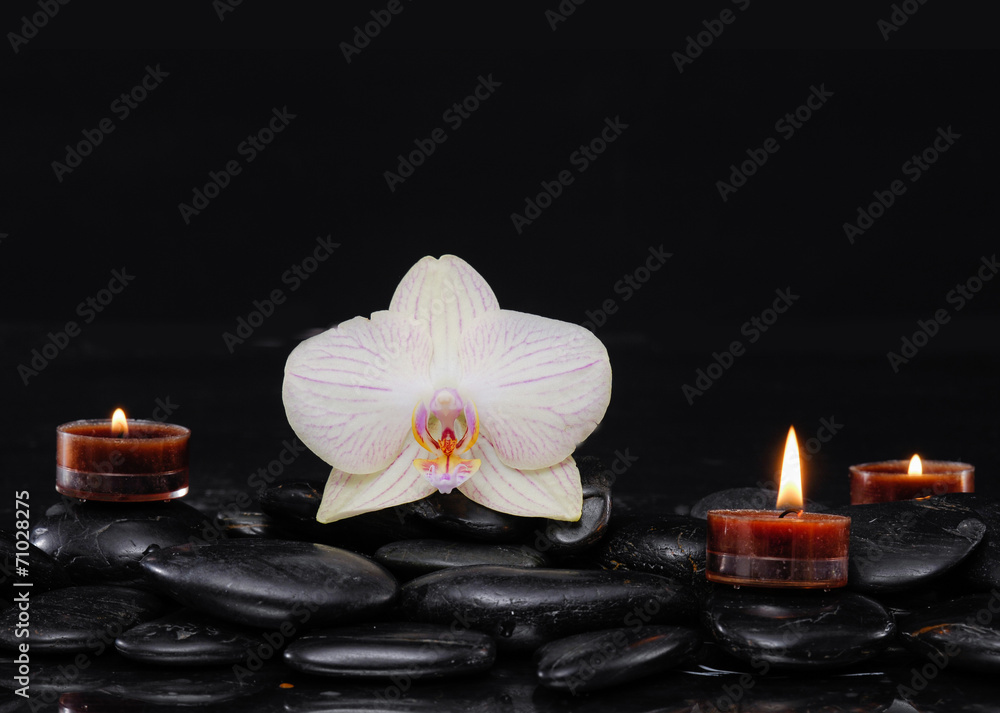 White orchid with three candle on black stones background White orchid with three candle on black stones background