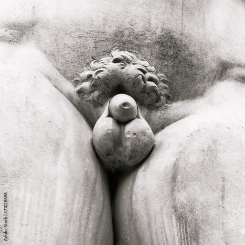 Quadro em tela David Statue Detail